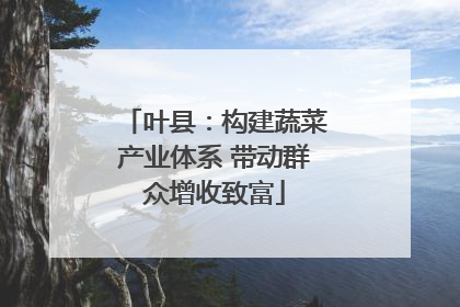 叶县：构建蔬菜产业体系 带动群众增收致富
