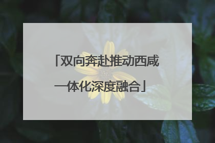 双向奔赴推动西咸一体化深度融合
