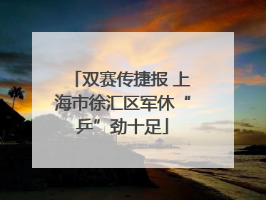 双赛传捷报 上海市徐汇区军休“乒”劲十足
