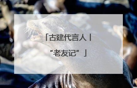 古建代言人丨“老友记”