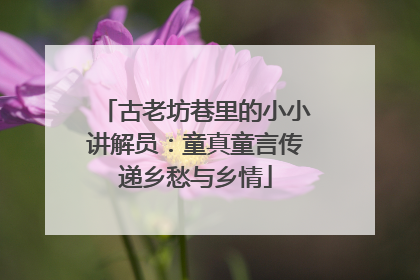 古老坊巷里的小小讲解员：童真童言传递乡愁与乡情