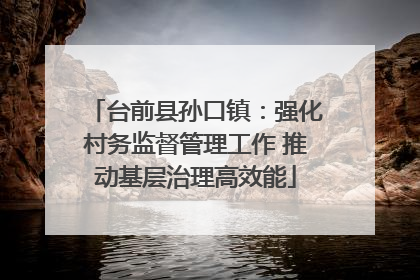 台前县孙口镇：强化村务监督管理工作 推动基层治理高效能