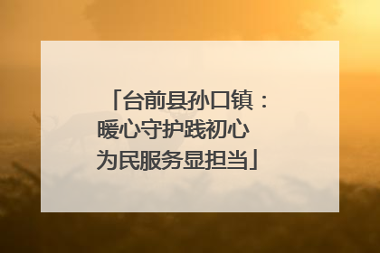 台前县孙口镇：暖心守护践初心 为民服务显担当