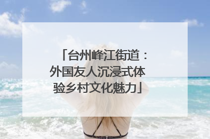 台州峰江街道：外国友人沉浸式体验乡村文化魅力