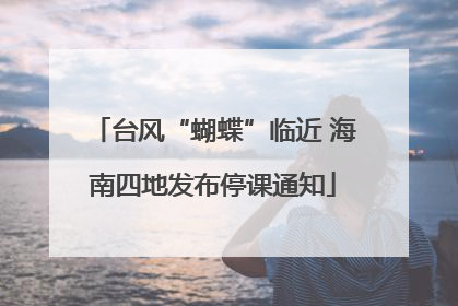 台风“蝴蝶”临近 海南四地发布停课通知