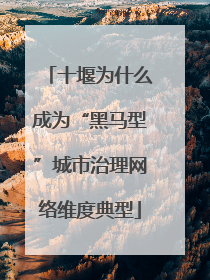十堰为什么成为“黑马型”城市治理网络维度典型