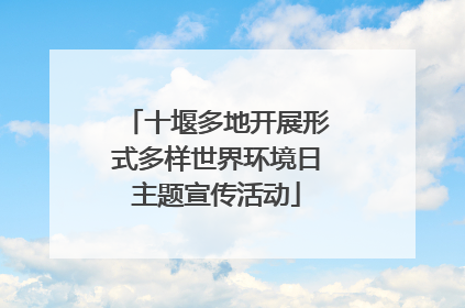 十堰多地开展形式多样世界环境日主题宣传活动