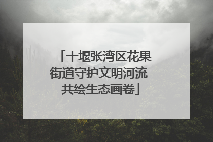 十堰张湾区花果街道守护文明河流 共绘生态画卷