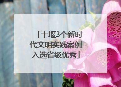 十堰3个新时代文明实践案例入选省级优秀