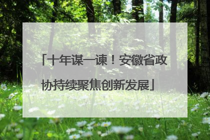 十年谋一谏！安徽省政协持续聚焦创新发展