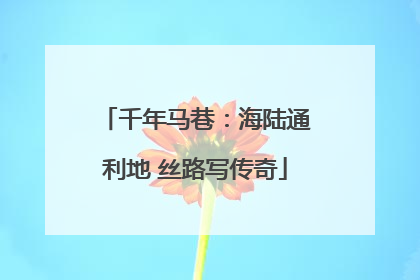 千年马巷：海陆通利地 丝路写传奇