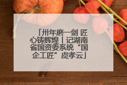 卅年磨一剑 匠心铸辉煌丨记湖南省国资委系统“国企工匠”虞孝云
