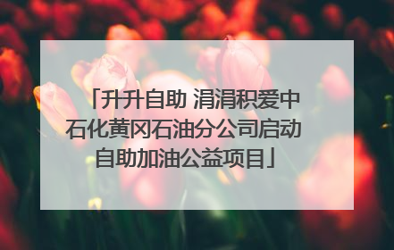 升升自助 涓涓积爱中石化黄冈石油分公司启动自助加油公益项目