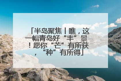 半岛聚焦丨瞧，这一幅青岛好“丰”景！愿你“芒”有所获，“种”有所得