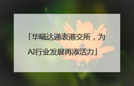 华曦达递表港交所，为AI行业发展再添活力