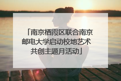南京栖霞区联合南京邮电大学启动校地艺术共创主题月活动