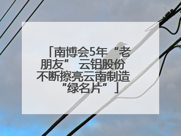 南博会5年“老朋友” 云铝股份不断擦亮云南制造“绿名片”