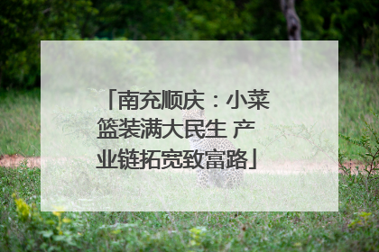 南充顺庆：小菜篮装满大民生 产业链拓宽致富路