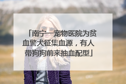 南宁一宠物医院为贫血警犬征集血源，有人带狗狗前来抽血配型