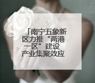 南宁五象新区力推“两港一区”建设 产业集聚效应凸显