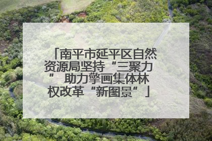 南平市延平区自然资源局坚持“三聚力” 助力擎画集体林权改革“新图景”