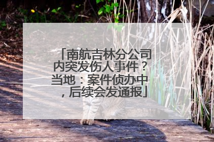 南航吉林分公司内突发伤人事件？当地：案件侦办中，后续会发通报