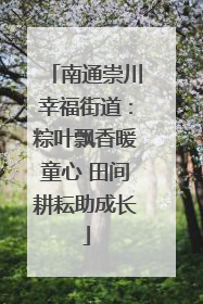 南通崇川幸福街道：粽叶飘香暖童心 田间耕耘助成长