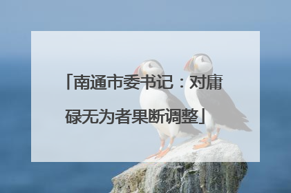 南通市委书记：对庸碌无为者果断调整