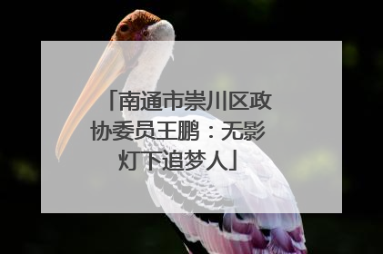南通市崇川区政协委员王鹏：无影灯下追梦人