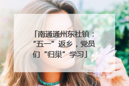 南通通州东社镇：“五一”返乡，党员们“归巢”学习