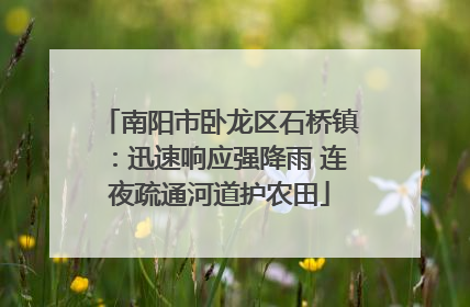 南阳市卧龙区石桥镇：迅速响应强降雨 连夜疏通河道护农田
