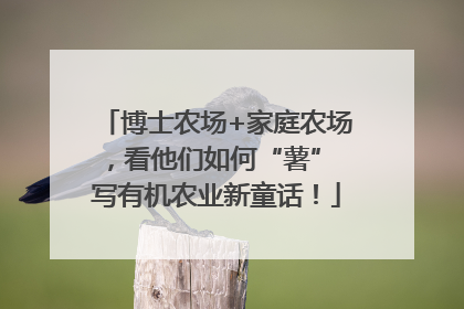 博士农场+家庭农场，看他们如何“薯” 写有机农业新童话！