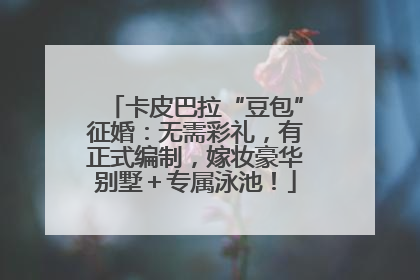 卡皮巴拉“豆包”征婚：无需彩礼，有正式编制，嫁妆豪华别墅＋专属泳池！