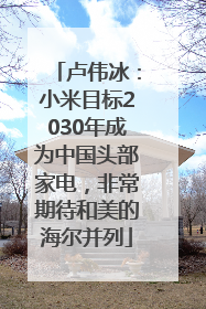 卢伟冰：小米目标2030年成为中国头部家电，非常期待和美的海尔并列