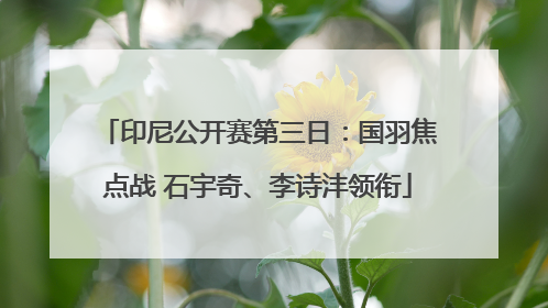 印尼公开赛第三日：国羽焦点战 石宇奇、李诗沣领衔