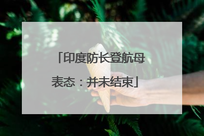 印度防长登航母表态：并未结束