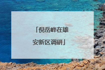 倪岳峰在雄安新区调研