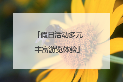 假日活动多元 丰富游览体验