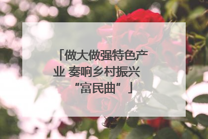 做大做强特色产业 奏响乡村振兴“富民曲”