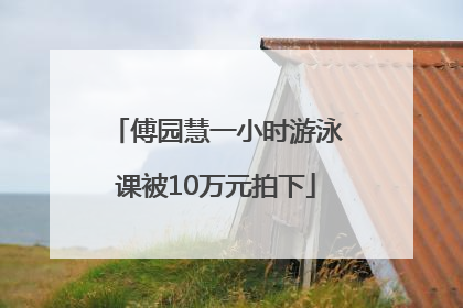 傅园慧一小时游泳课被10万元拍下