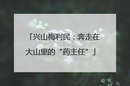 兴山梅利民：奔走在大山里的“药主任”