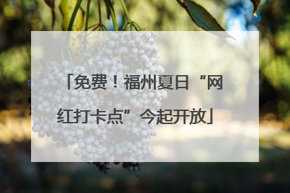 免费！福州夏日“网红打卡点”今起开放