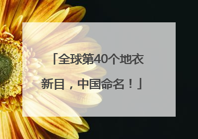 全球第40个地衣新目，中国命名！