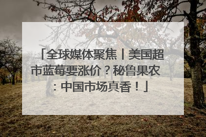 全球媒体聚焦丨美国超市蓝莓要涨价？秘鲁果农：中国市场真香！