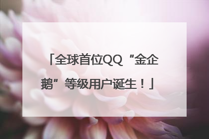 全球首位QQ“金企鹅”等级用户诞生！