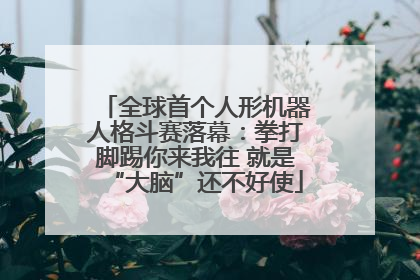 全球首个人形机器人格斗赛落幕：拳打脚踢你来我往 就是“大脑”还不好使