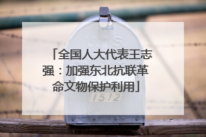 全国人大代表王志强：加强东北抗联革命文物保护利用