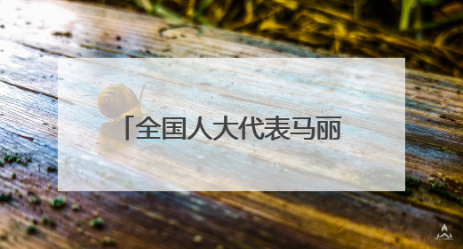 全国人大代表马丽——以司法裁判为引领做实定分止争