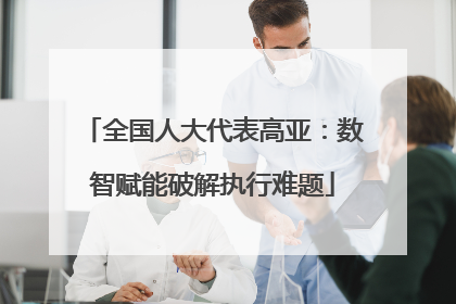 全国人大代表高亚：数智赋能破解执行难题