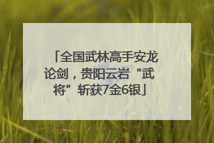 全国武林高手安龙论剑，贵阳云岩“武将”斩获7金6银